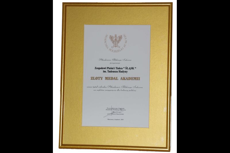 Złoty Medal Akademii Polskiego Sukcesu